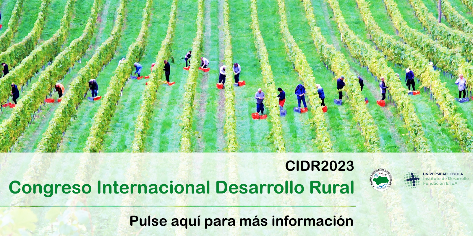 Lee más sobre el artículo Congreso Internacional del Desarrollo Rural 2023