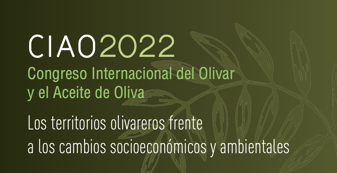 Lee más sobre el artículo Congreso Internacional del Aceite de Oliva Los territorios olivareros frente a los cambios socioeconómicos y ambientales.